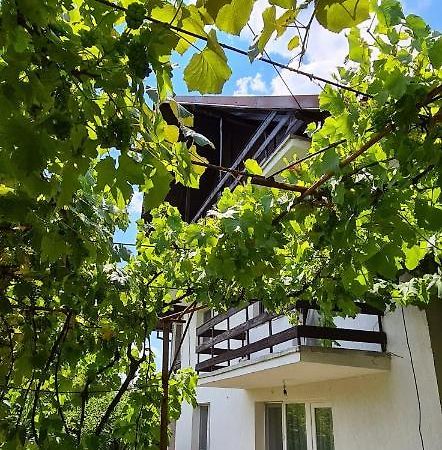 Cazare Vila Maria Apartment Curtea De Arges Exterior photo