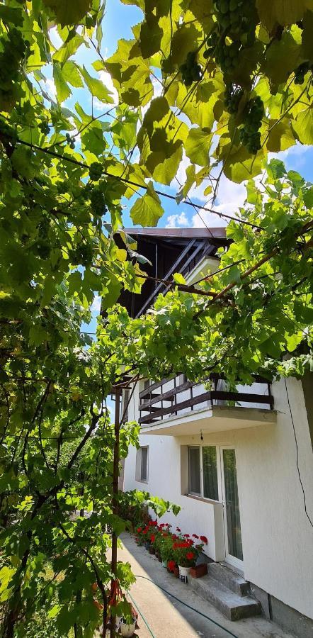 Cazare Vila Maria Apartment Curtea De Arges Exterior photo