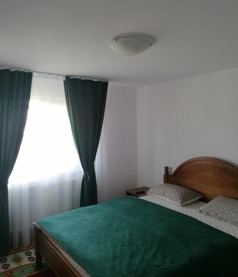 Cazare Vila Maria Apartment Curtea De Arges Exterior photo