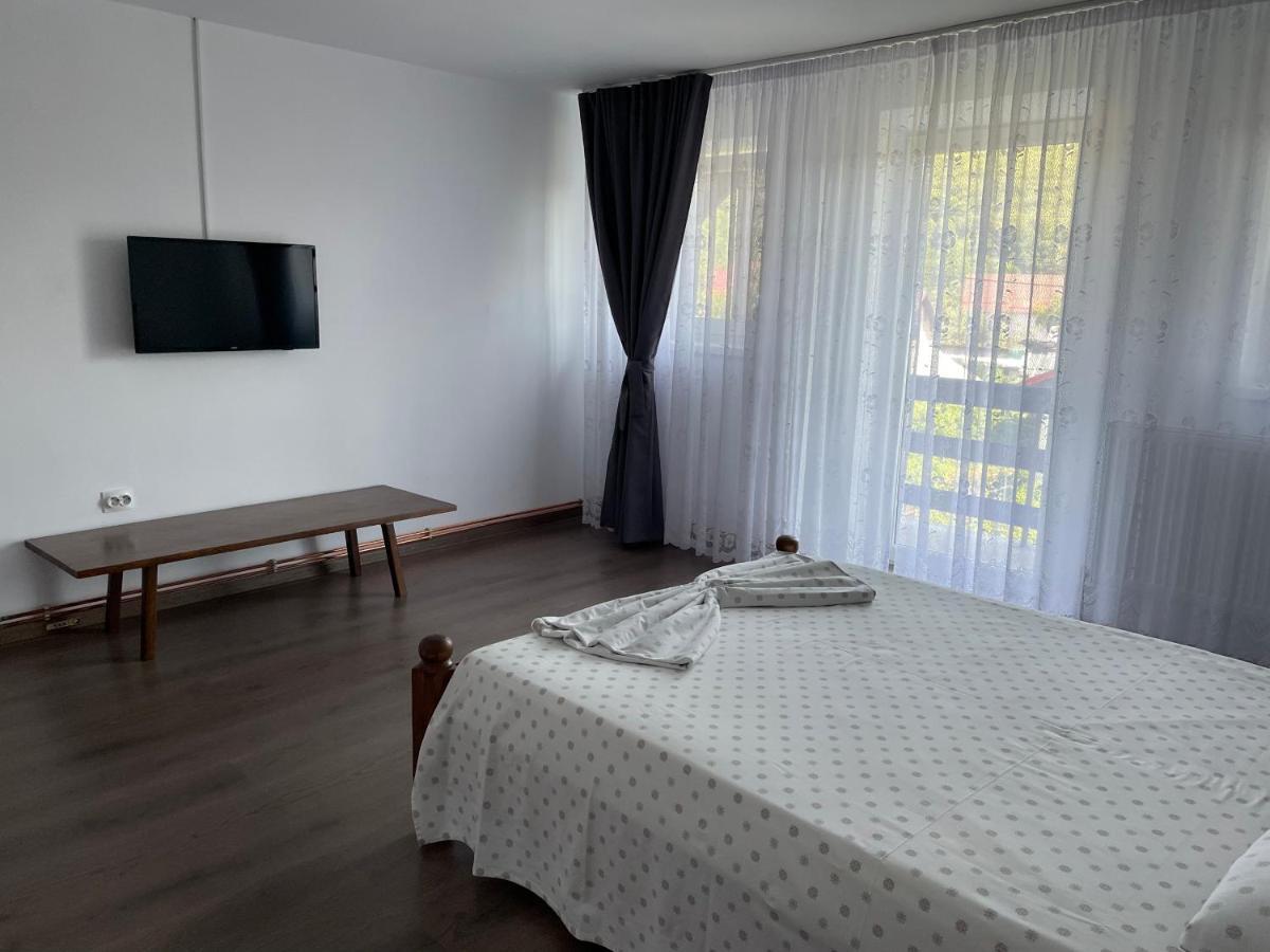 Cazare Vila Maria Apartment Curtea De Arges Exterior photo